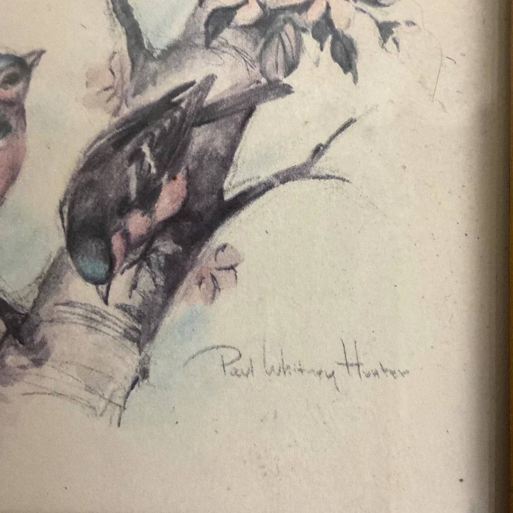 Vintage Paul Whitney Hunter Framed Bird Prints Set of 2 Cardinals Songbirds Gold